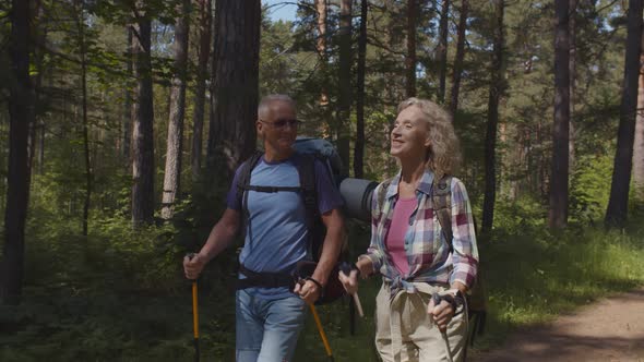 Cute Senior Couple Hiking in Summer Forest Landscape