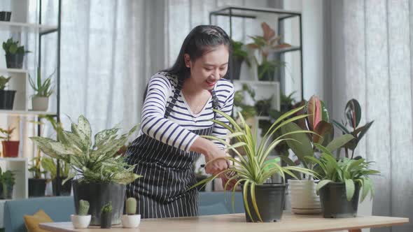 Smiling Asian Woman Trimming Plants At Home