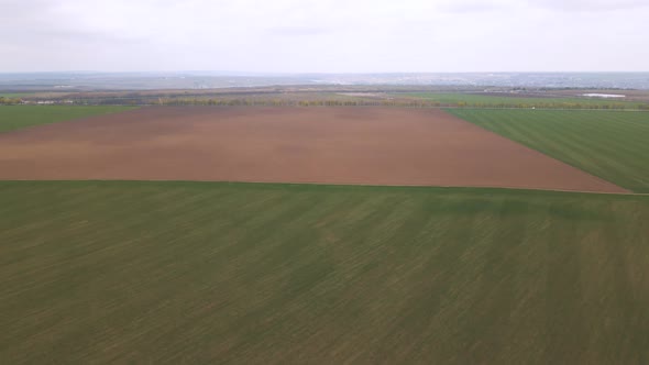 Aerial Drone Footage Approaching Farm Fields in Countryside