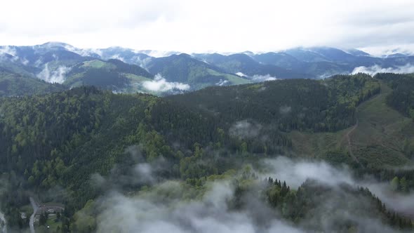 Fog in the Mountains. Slow Motion. Carpathians. Ukraine. Aerial.