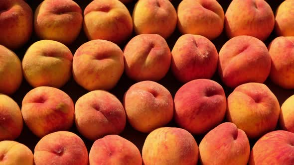 Motion Over Delicious Ripe Peaches Lying in Large Crate