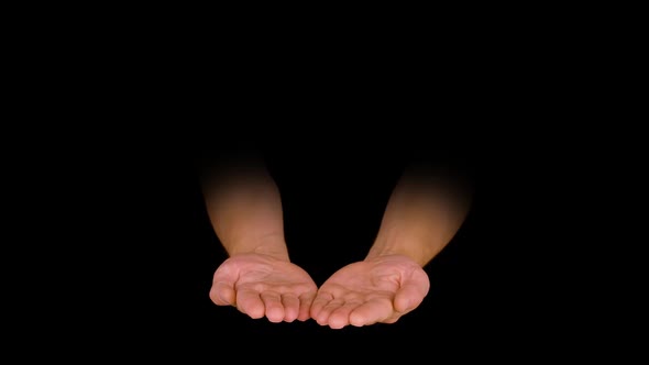 Two Empty Male Palm Hand Holding Something on Black Background