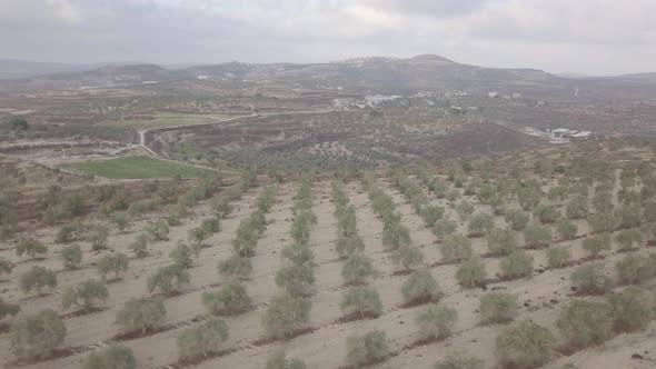 Aerial view of a cropland in Arraba Palestine Middle East