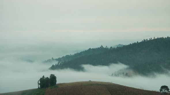 Fog Moving On Mountain