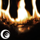 Fire Burn 01 - VideoHive Item for Sale