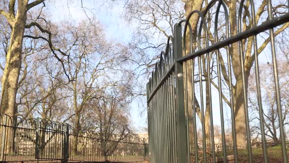 Happy asian young woman enjoying a sunny day at park in London