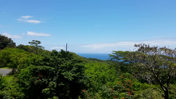 Tropical Lush Jungles on Hawaiian Island of Maui - Establishing Aerial