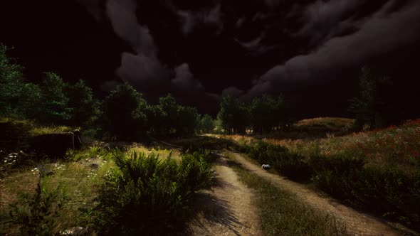 Thunderstorm Clouds with Lightning in Green Meadow