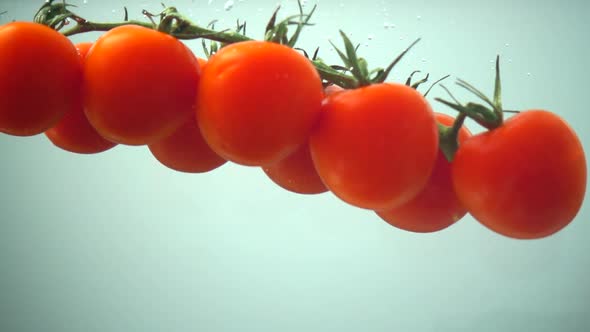 The Falling Cherry Tomatoes in Water