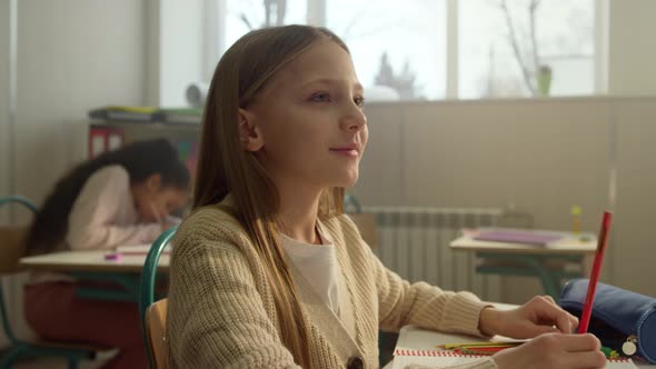 Student Studying at Elementary School Class