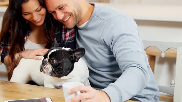 Happy couple playing with pug dog 4k