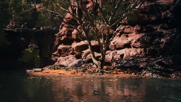 Lake Powell at Sunny Day in Summer