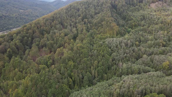 Nature of Ukraine: Carpathian Mountains Slow Motion. Aerial View