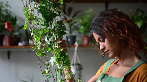 Beautiful Woman Gardener Posing with Green Plant While Standing at House Room Spbd