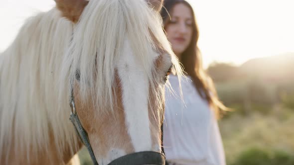 Girl with Brown Horse at Sunset Light