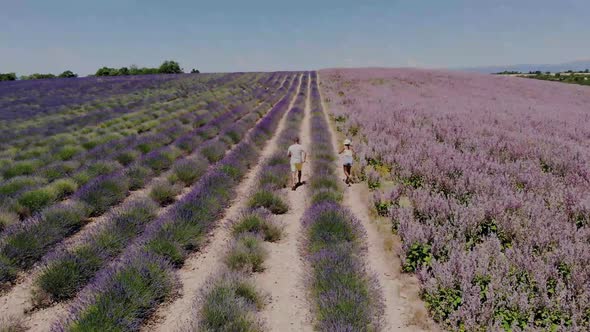 Valensole Plateau Provence Southern France