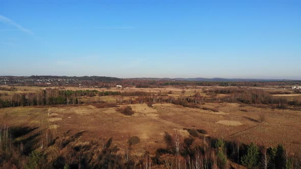 A forest glade bathed