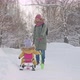 A happy mom pulls a snowcat sled with a baby in yellow warm clothes along a snowy path in the park. - VideoHive Item for Sale