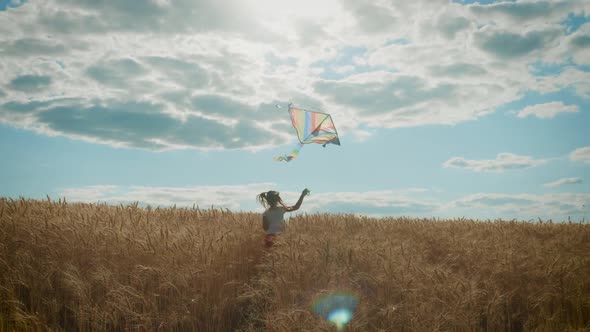 Pretty Girl Playing with Kite in Wheat Field on Summer Day. Childhood, Lifestyle Concept