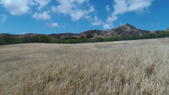 Flyover Dry grass field with mountain range in background against blue sky, Hawaii