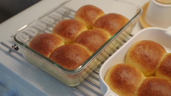 Homemade Roundshaped Soft Buns Dinner Rolls Baked in an Oven