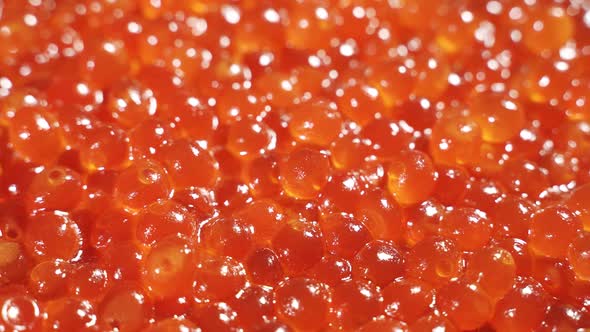 A Bunch of Grains of Red Caviar Rotates Slowly
