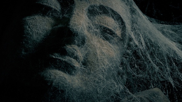 Ancient Statue Under Cobwebs Moving In Breeze
