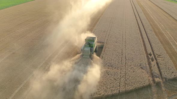 Tracking shot of farmer harvesting crop