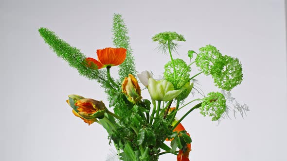 Amazing Bouquet of Wild Flowers Isolated on a White Background