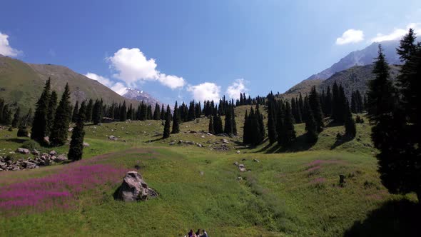 Flying on a Drone Among Fir Trees and Mountains