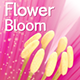 Flower Bloom Logo - VideoHive Item for Sale