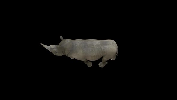 Rhino Walk Top View alt