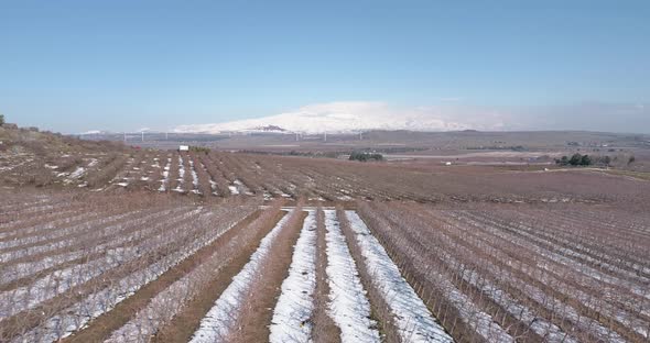 Aerial view of a dry vineyard in the snow, Golan Heights, Israel.