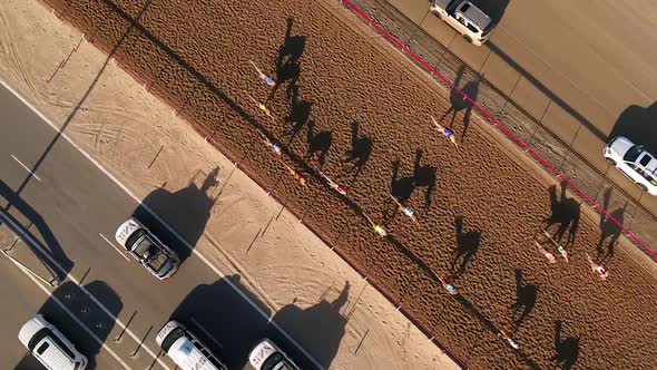 Aerial view of a group of camels during a race in the desert of Ras Al Khaimah.