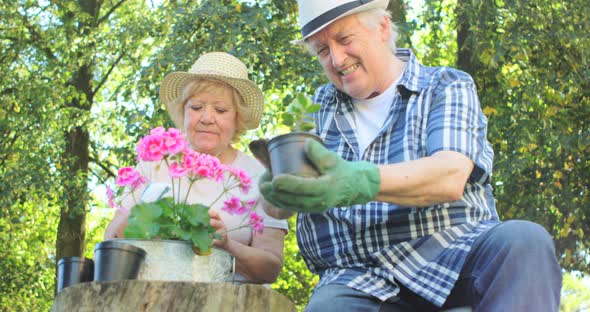 Senior couple gardening together in garden