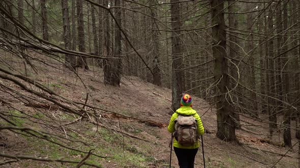 A Woman with a Backpack Travels in the Forest