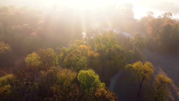 Aerial Flying Over Trees with Yellow Leaves Lake and Architecture on an Autumn