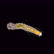 The Larva of the Polychaeta Worm Under a Microscope, of the Ophelliidae Family, Type Annelida - VideoHive Item for Sale