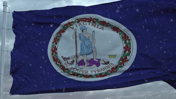 Virginia Winter Flag with Snowflakes Background