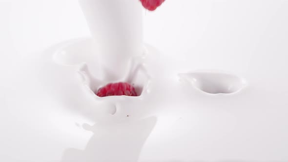 Fresh Berries Falling Into the Flow of Milk