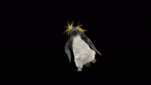 Penguin Dancing 4K