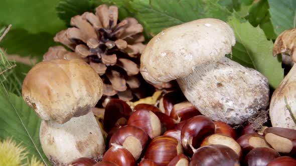 Mushrooms and chestnuts in autumnal composition. Tasty delicious vegetarian vegan healthy food. Slid