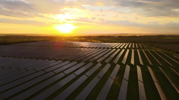 Aerial View of Big Sustainable Electric Power Plant with Rows of Solar Photovoltaic Panels for