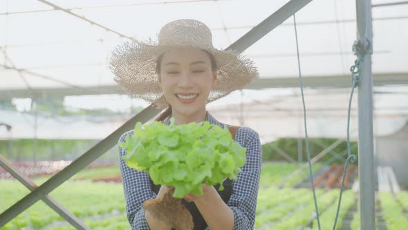 Asian young beautiful woman farmer work in vegetables hydroponic farm.