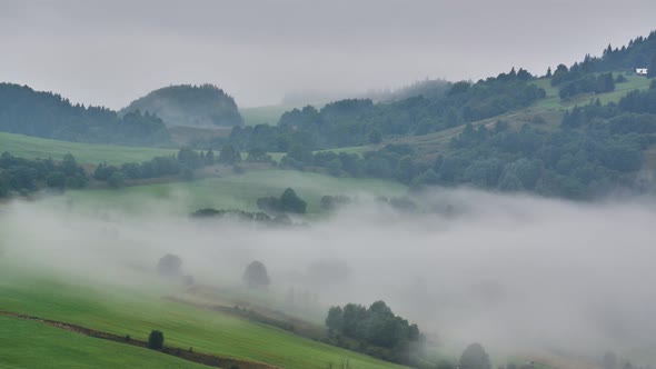 Dense fog moves over the rural landscape with grassy meadows and trees, 4K