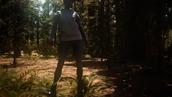 Woman in Yosimite National Park Near Sequoia