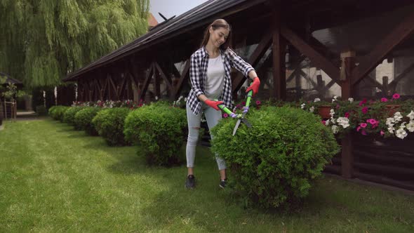 Professional Gardener Cutting Green Bushes Using Scissors