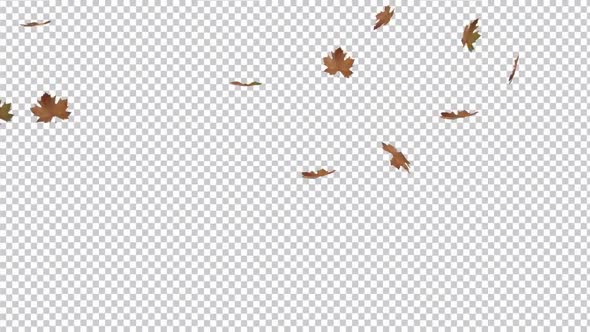 Falling Dried Big Leaves - Alpha Channel alt
