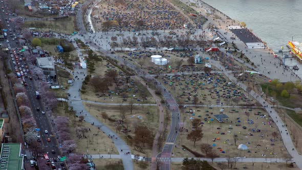 Timelapse Crowds of People at Seoul Cherry Blossom Festival