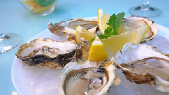 Panorama of the Female Hand Taking a Fresh Open Delicious Oyster From the Ice